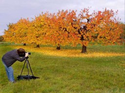 Herbst